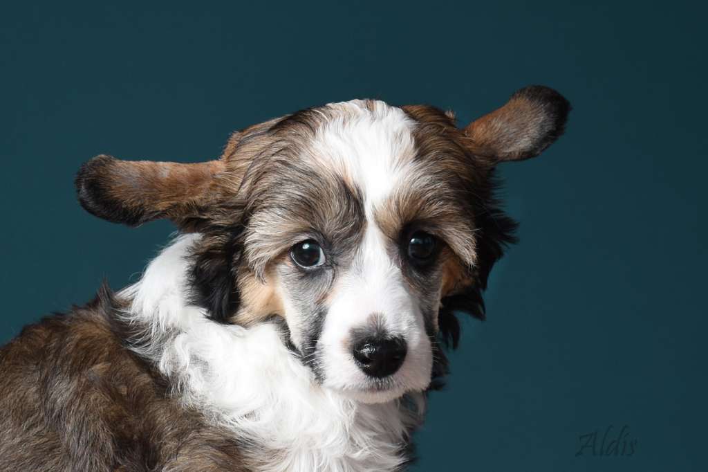 Practical Hero Arizona heat