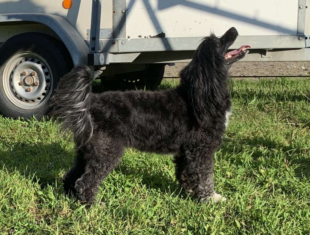 Nylandskustens Rista