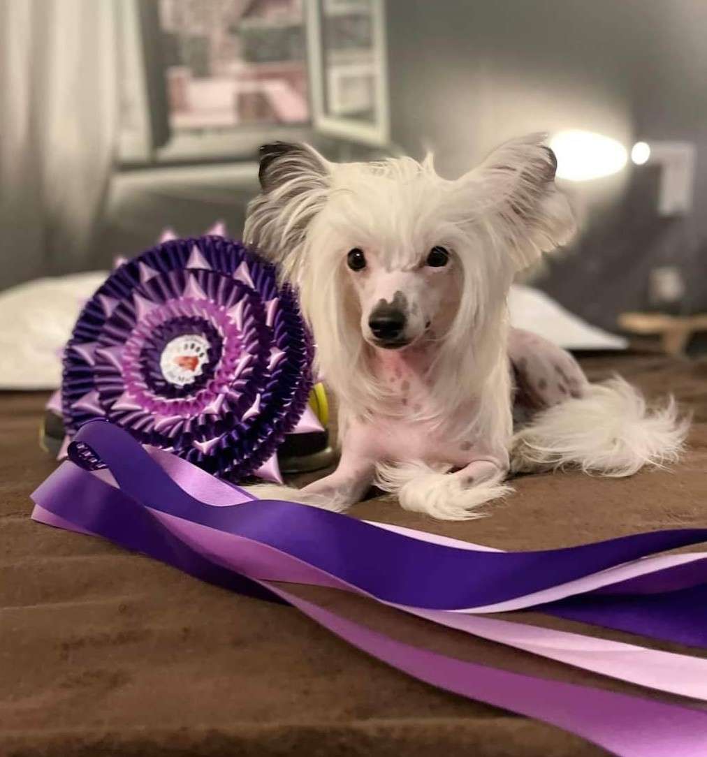 Exotic Spirit The Peace and Love