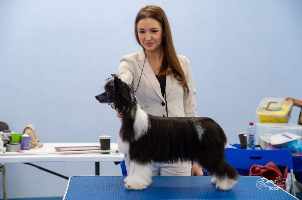 Kidsolarus Sheer Pleasure Ketty Skarlet