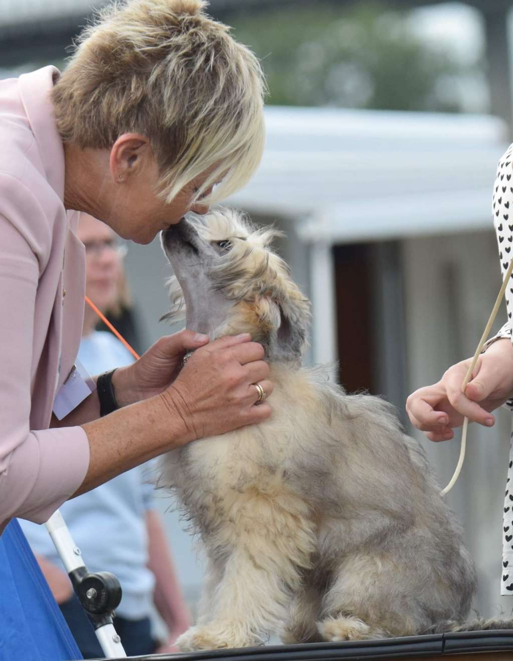 Artic Flyer's Euphoria