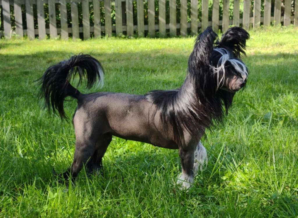 Chanyka Charney Winning Smile