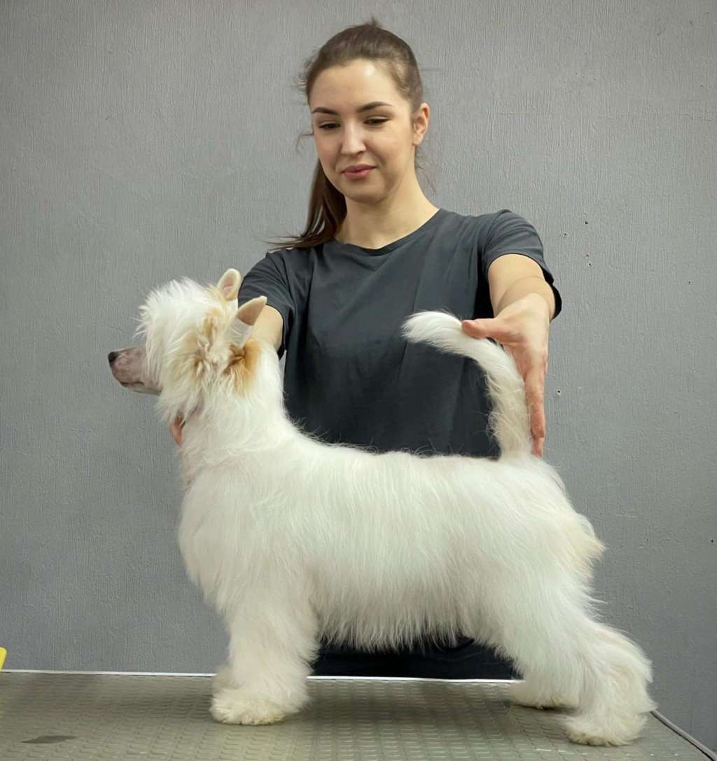 Kidsolarus  Yukon Jack