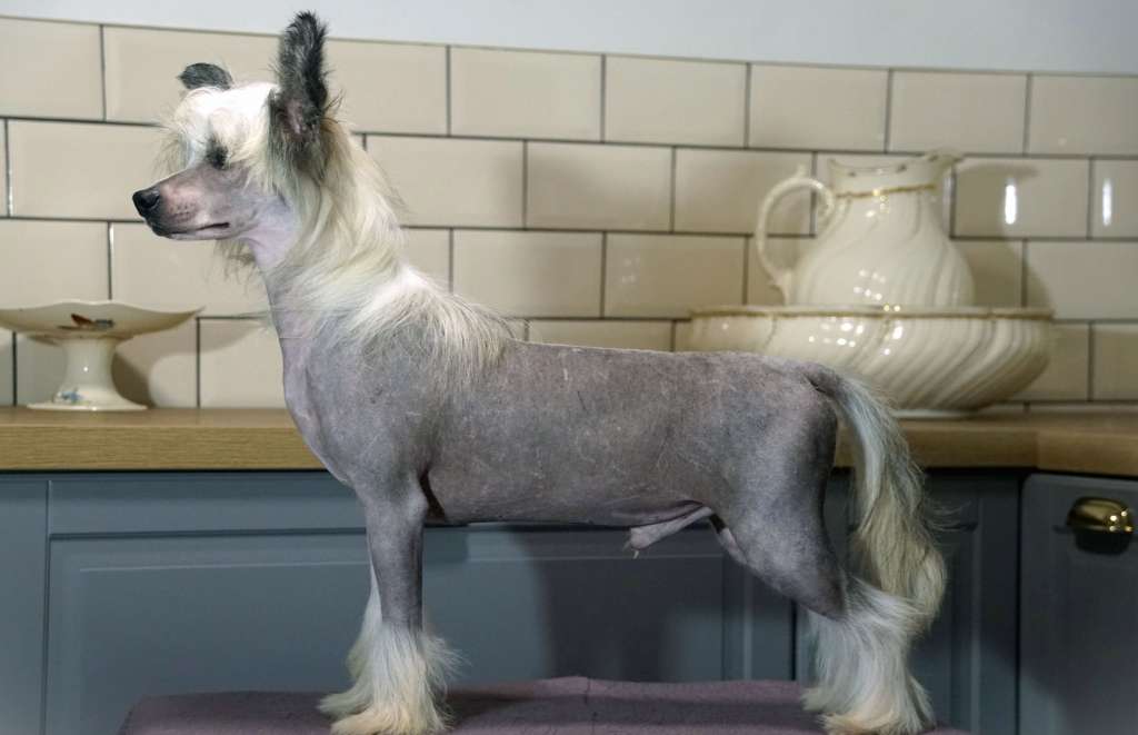 Victim Of Love Heybett