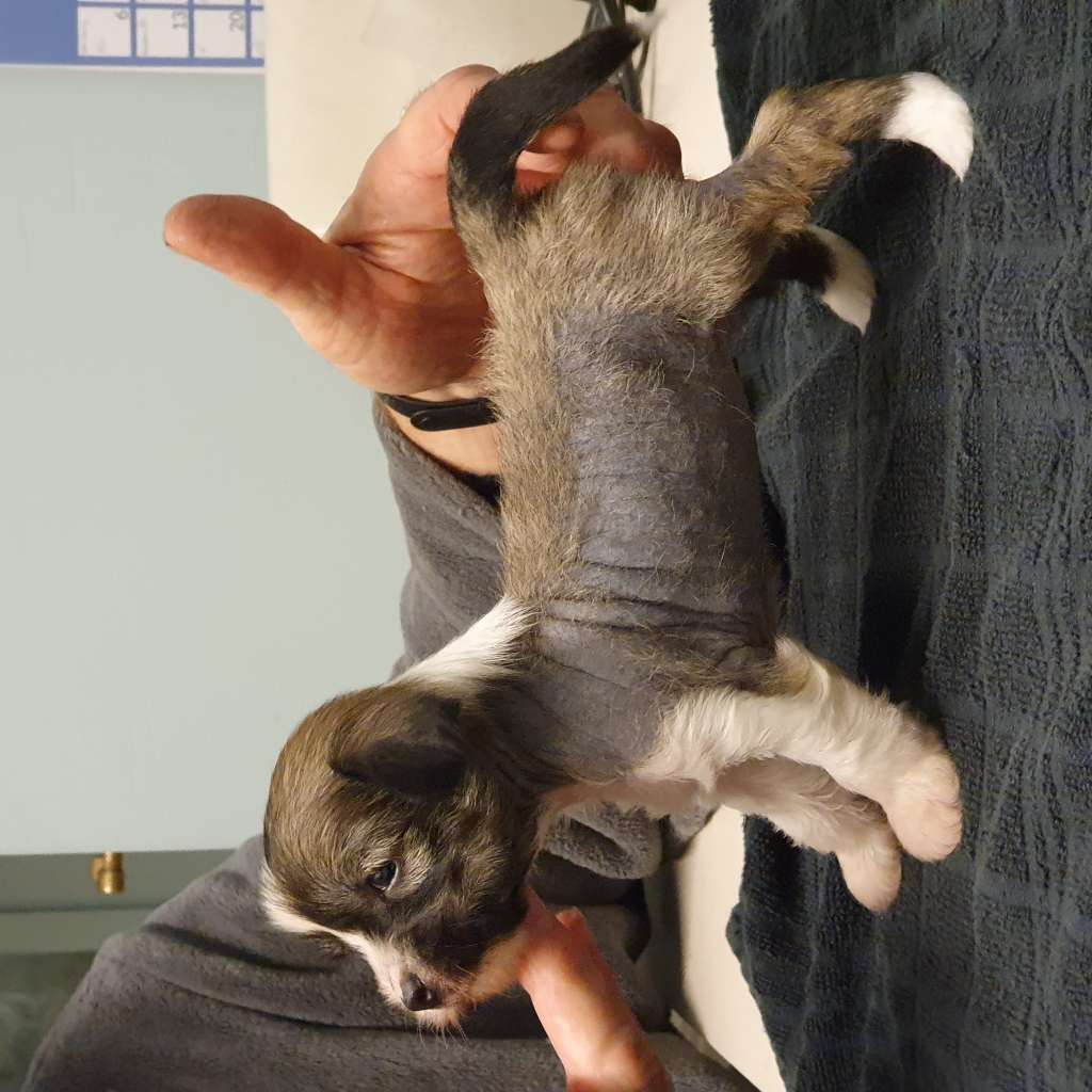 Rominjay look and stare