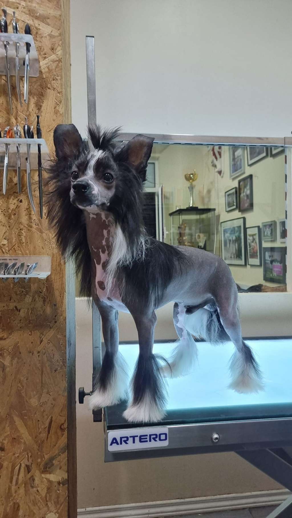 Giani Versace de Lybóriu's Legacy