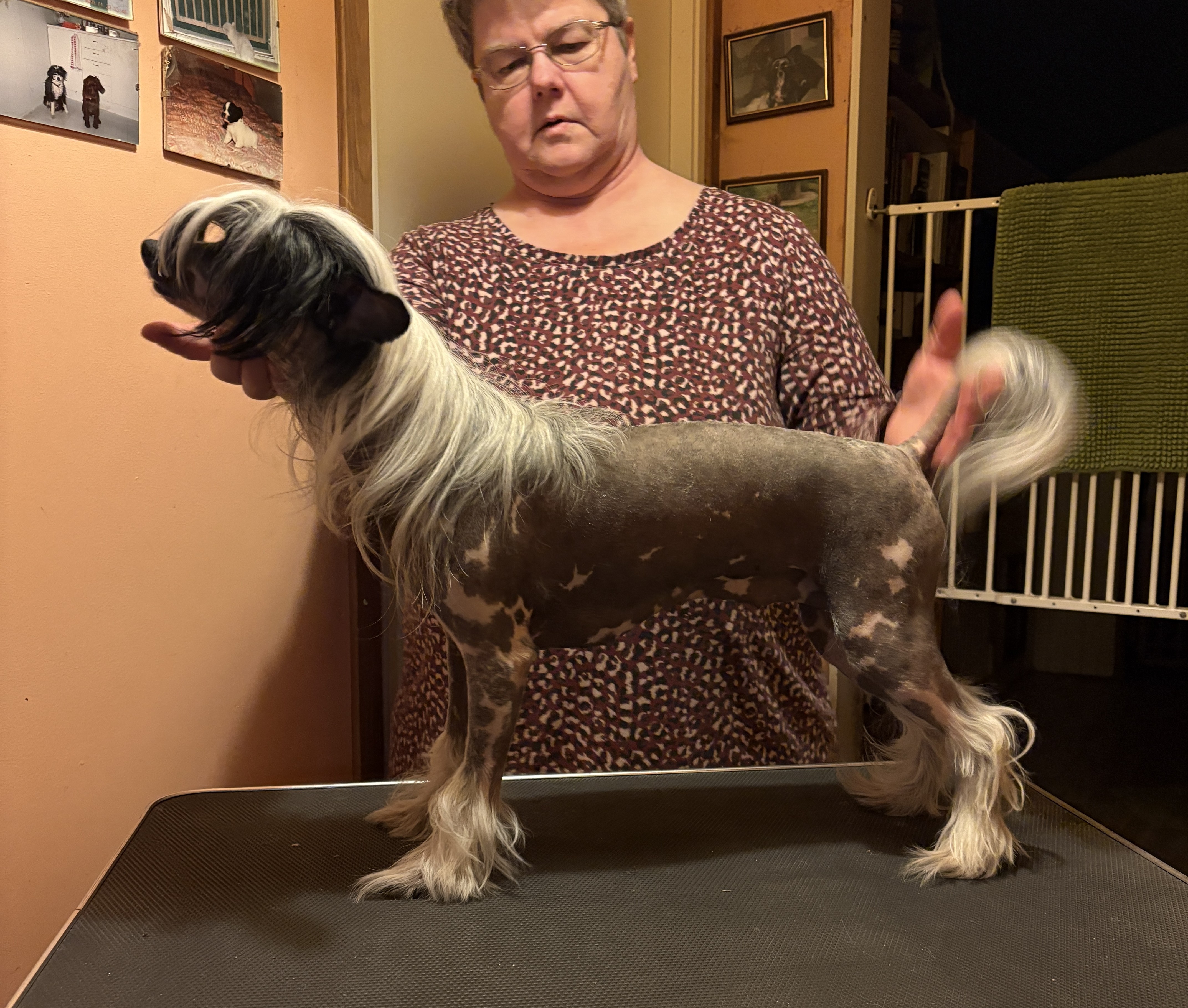 Yrar Independence Day