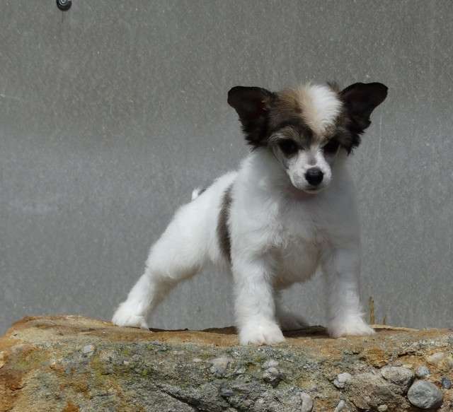 Forseti's Vice Versa