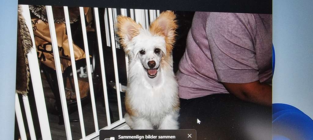 Camaro av Tedireanhi