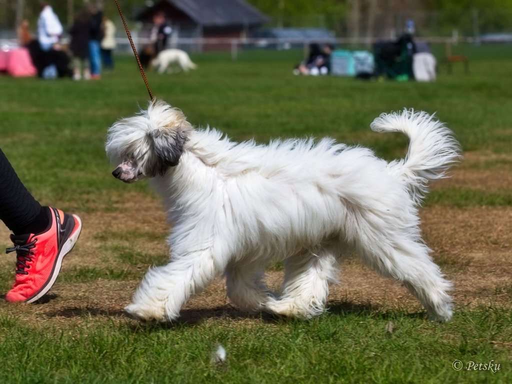 Zodellin It's My Time