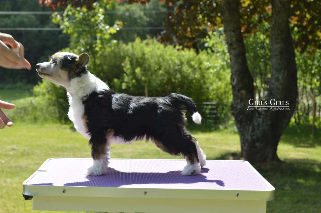 Girls Girls Just like a Topaz