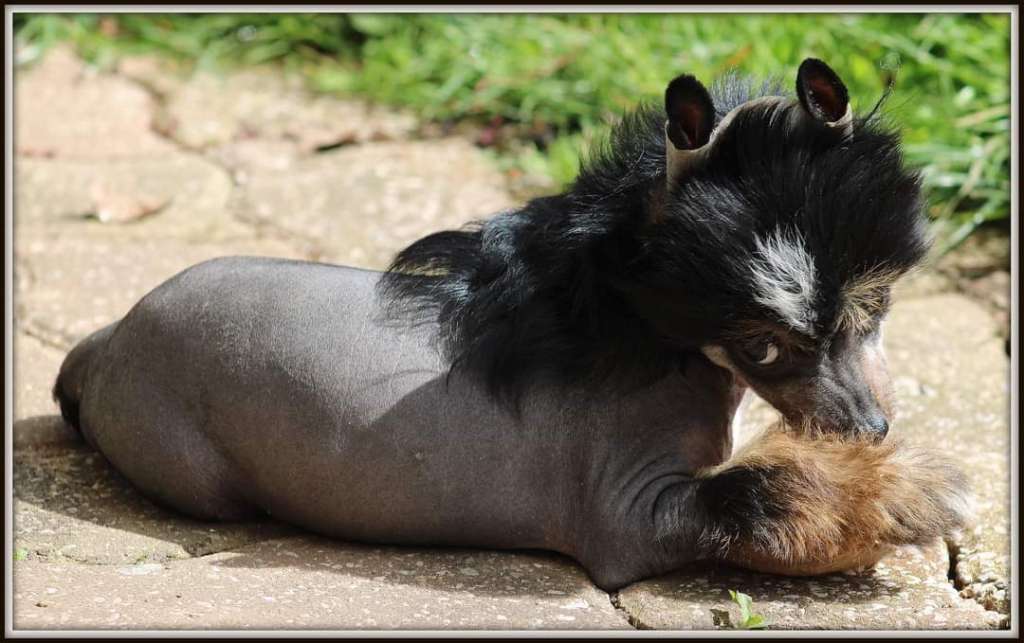 tutti frutti du pavé de varennes