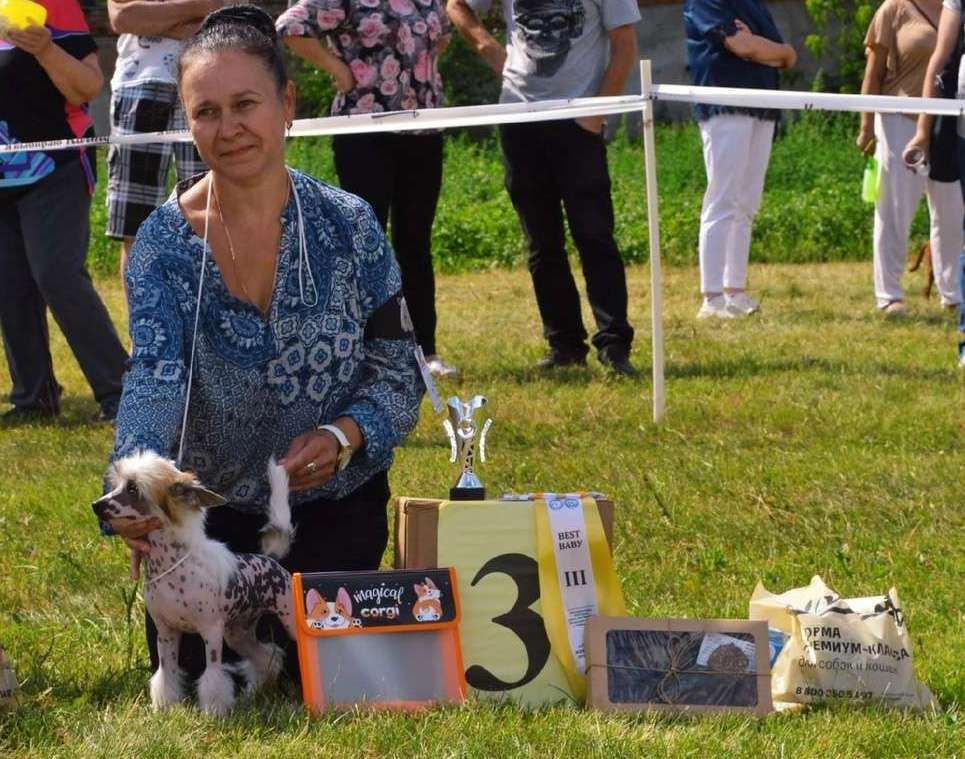 Lorita Star Tvorcheskiy Put'