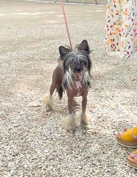 Sensualité Little Champs