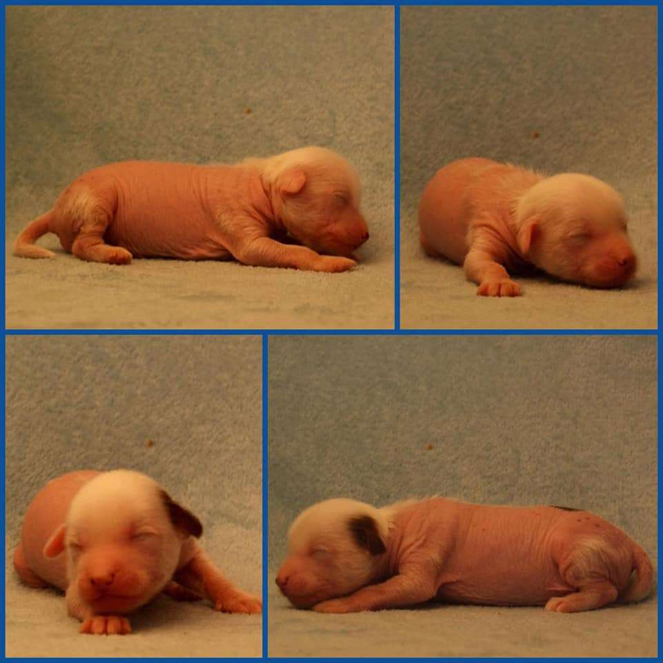 Beyesa's Coole Blanku