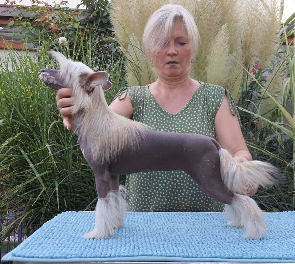 Rebel Girl Caramella's Family