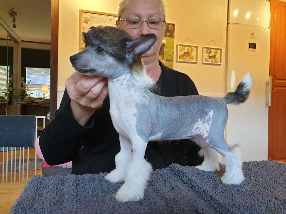 Ridgecrest's Princess Fire Life