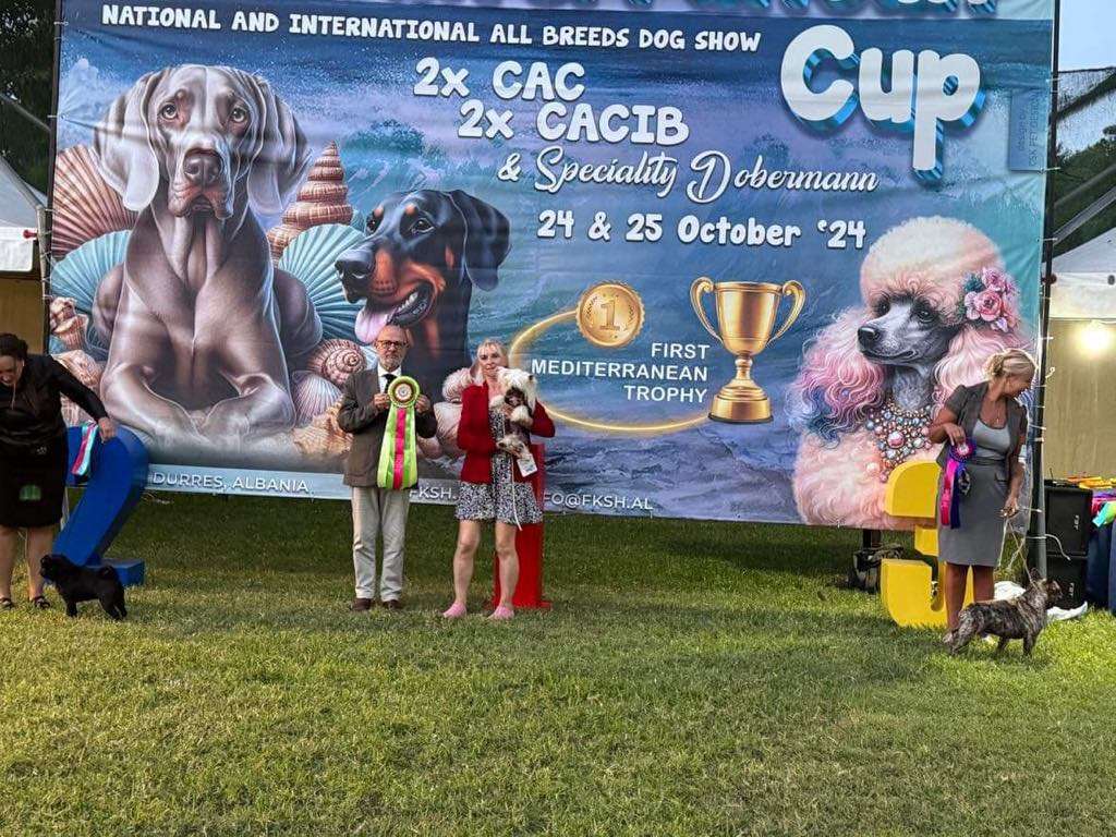 Merci La Coco Chanel Kings Of Dreams