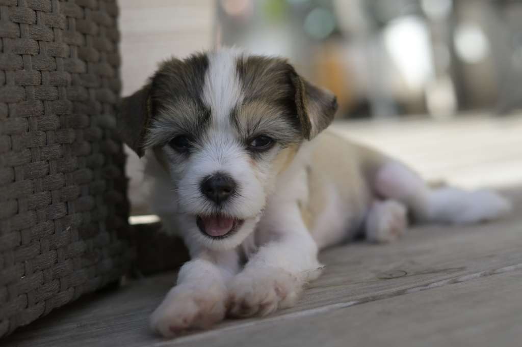 Cute Heartbreakers Always Love Blue Sky