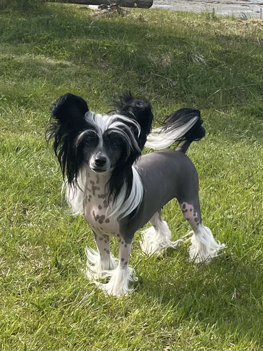 Maybell's Born Laughing