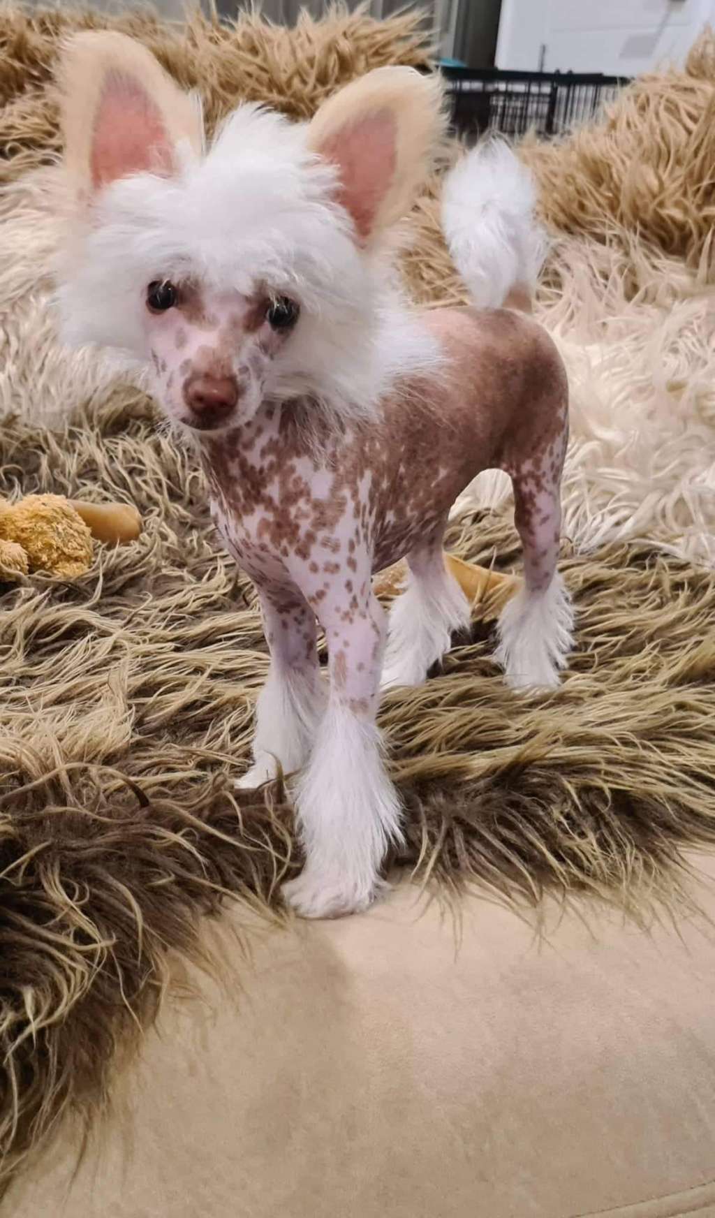 Koreke Per Arduo Ad Astra