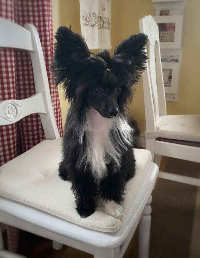 Exxiino's Excuse Me Miss