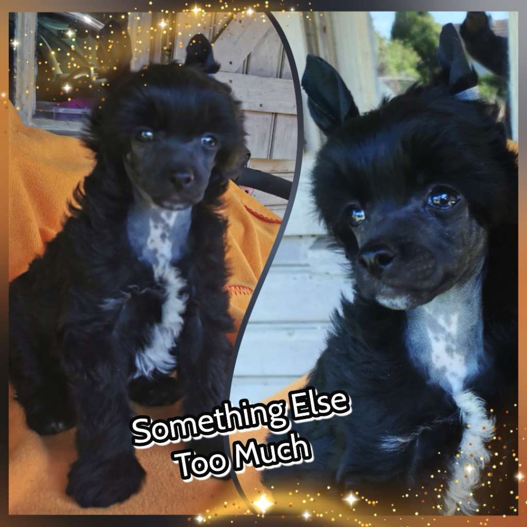 Something Else Too Much