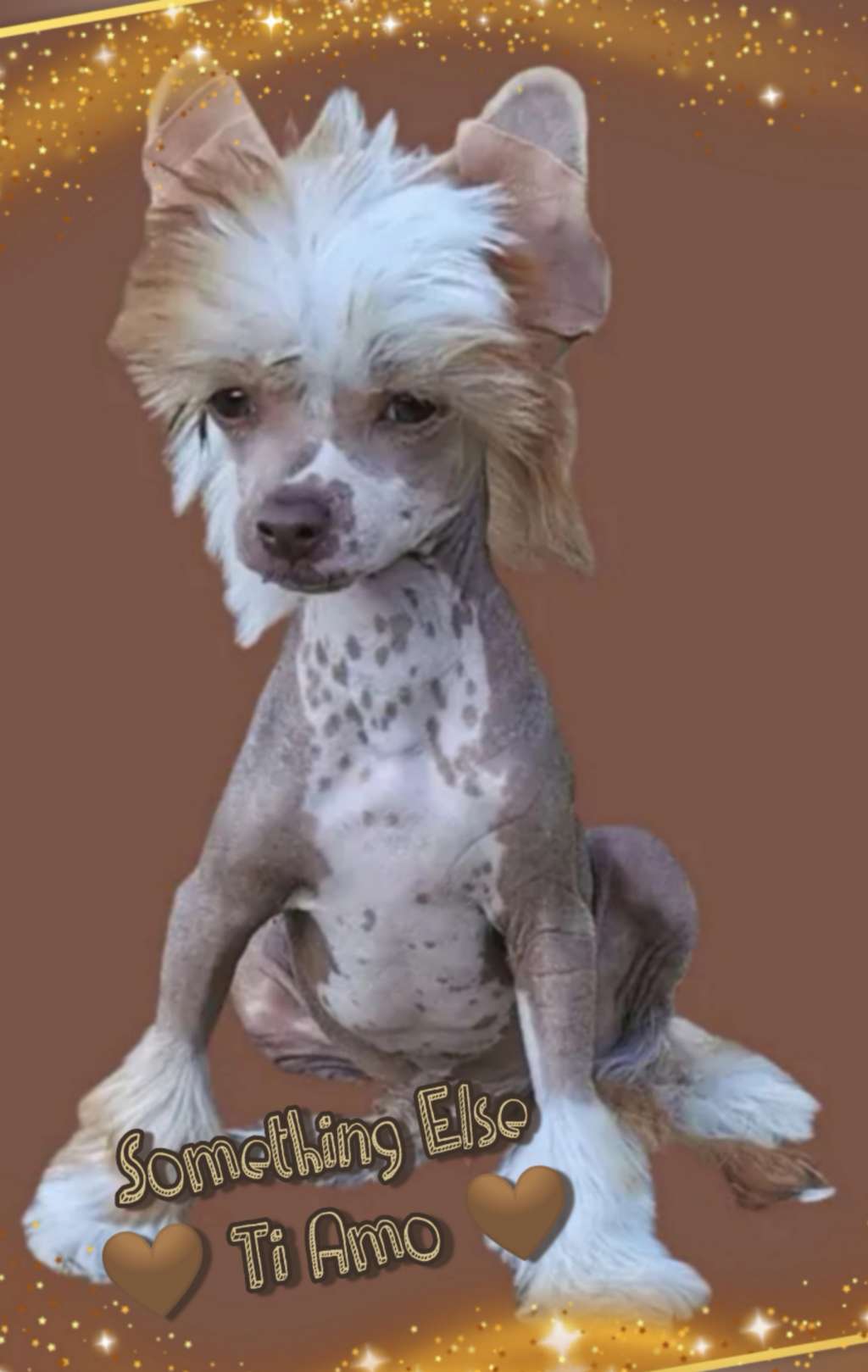 Something Else Ti Amo