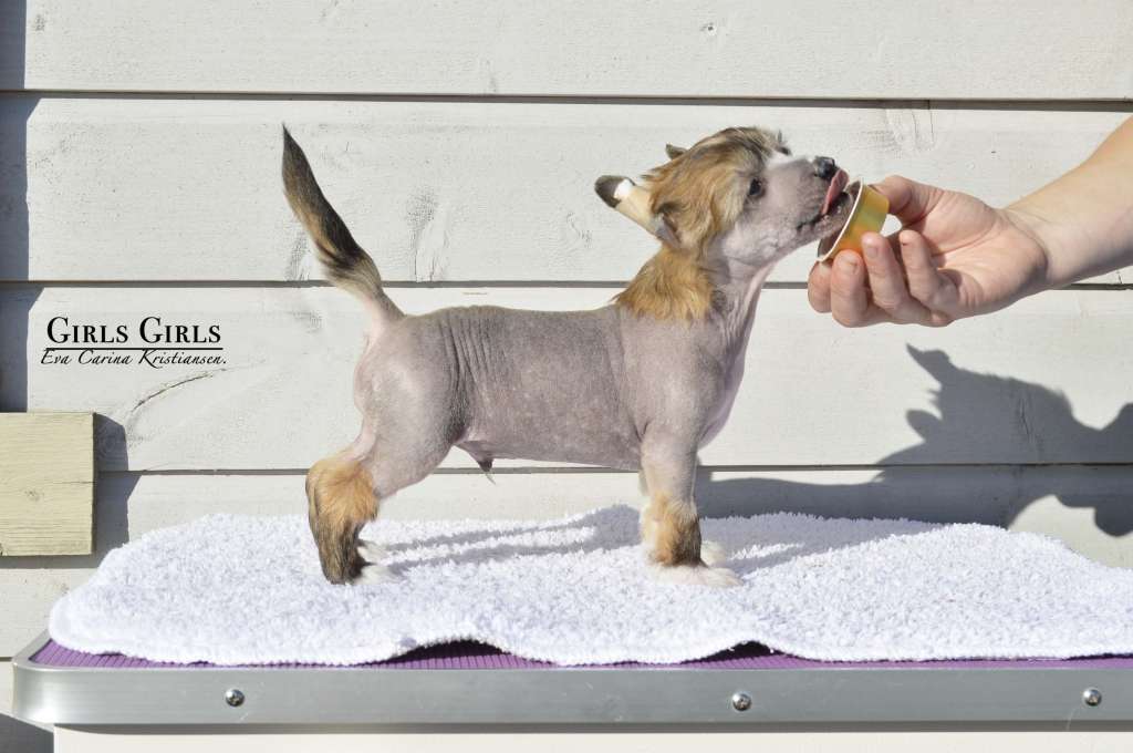 Girls Girls Kid Cudi