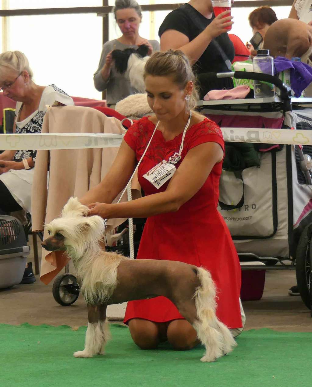 Alessia Bellissimo Black Beautiful