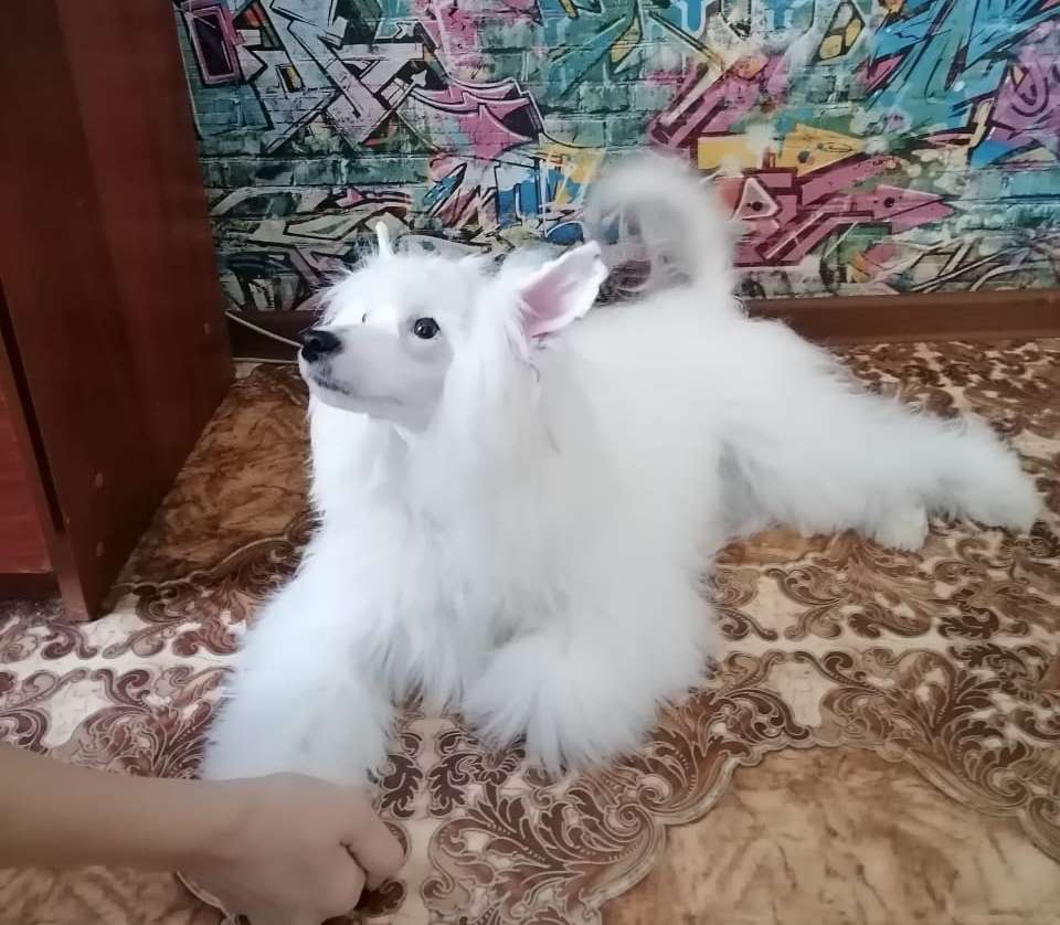 Incanto Del Mondo Tango