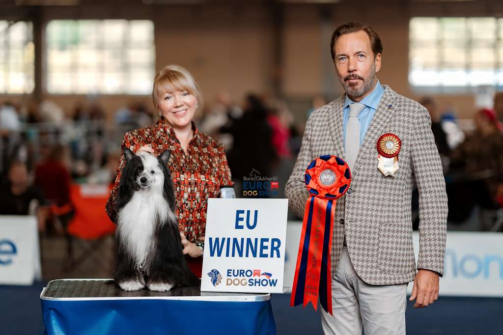 Incanto Del Mondo Show Me The Jackpot