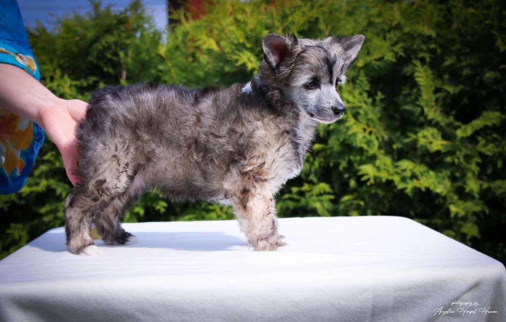 Classic Beauty Basic Just Won't Do