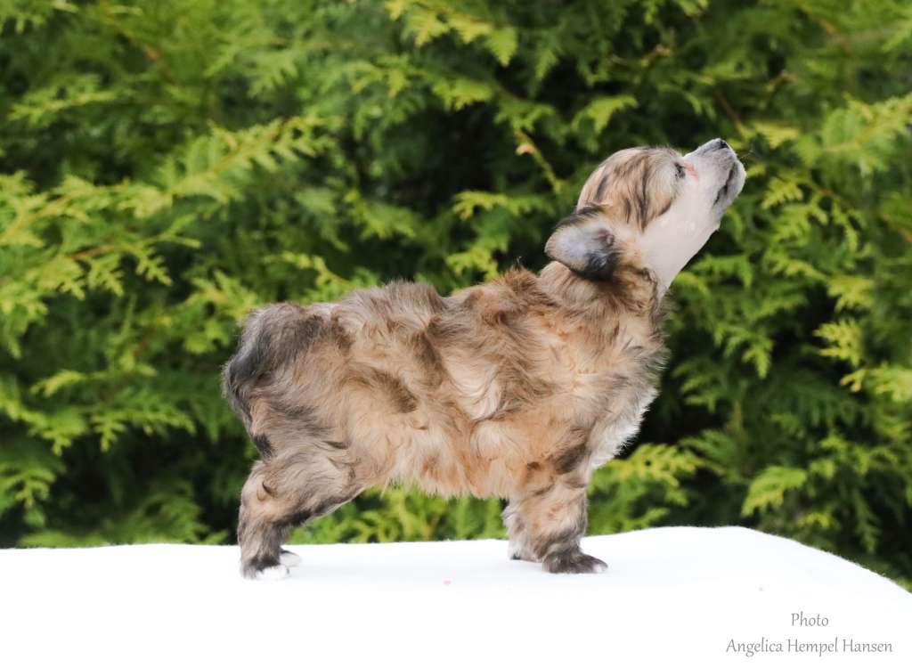 Classic Beauty Busy Being Fabulous