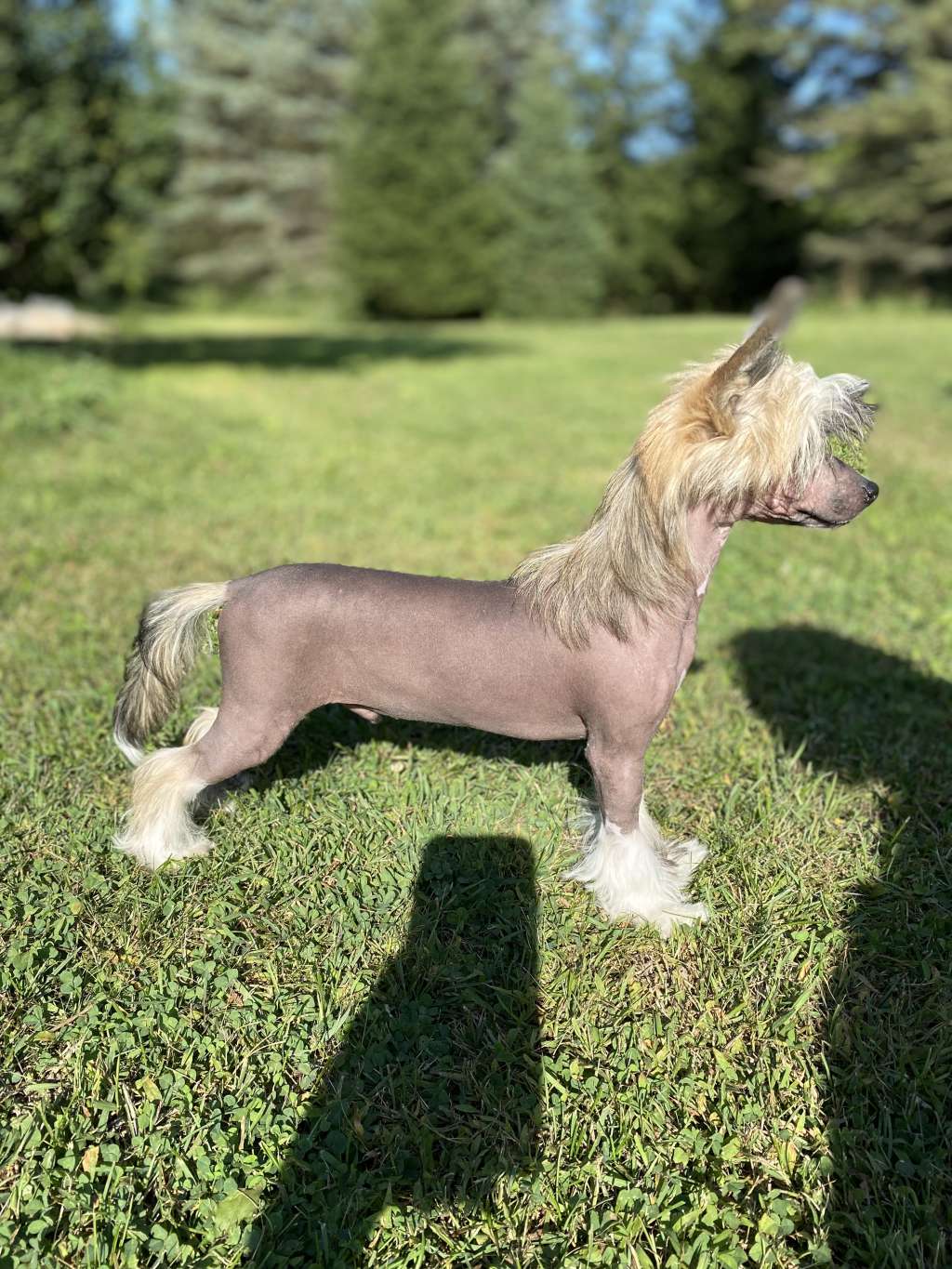 Denali's 1 Smooth Criminal