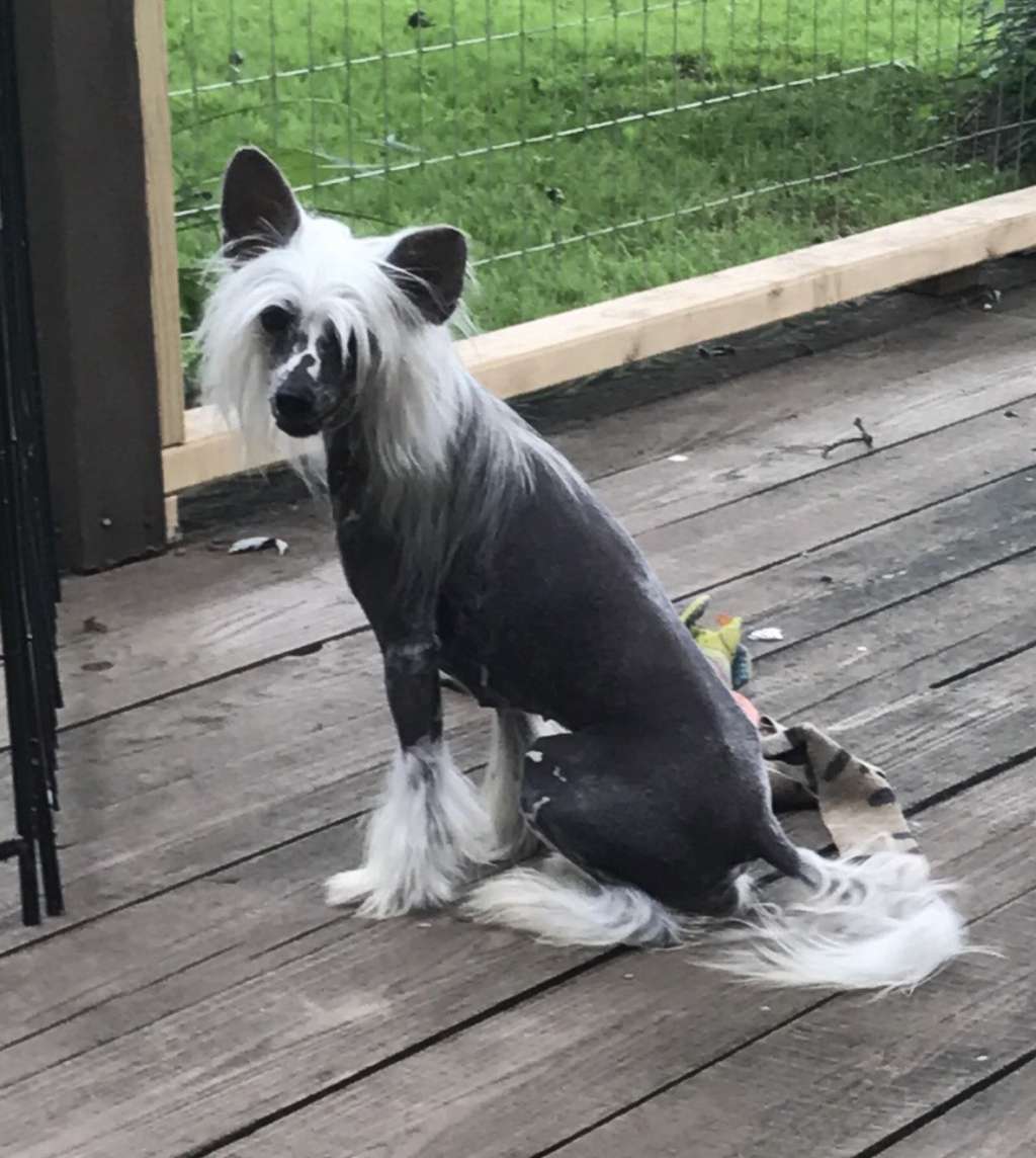 Kaylens vanitonia shaken not stirred