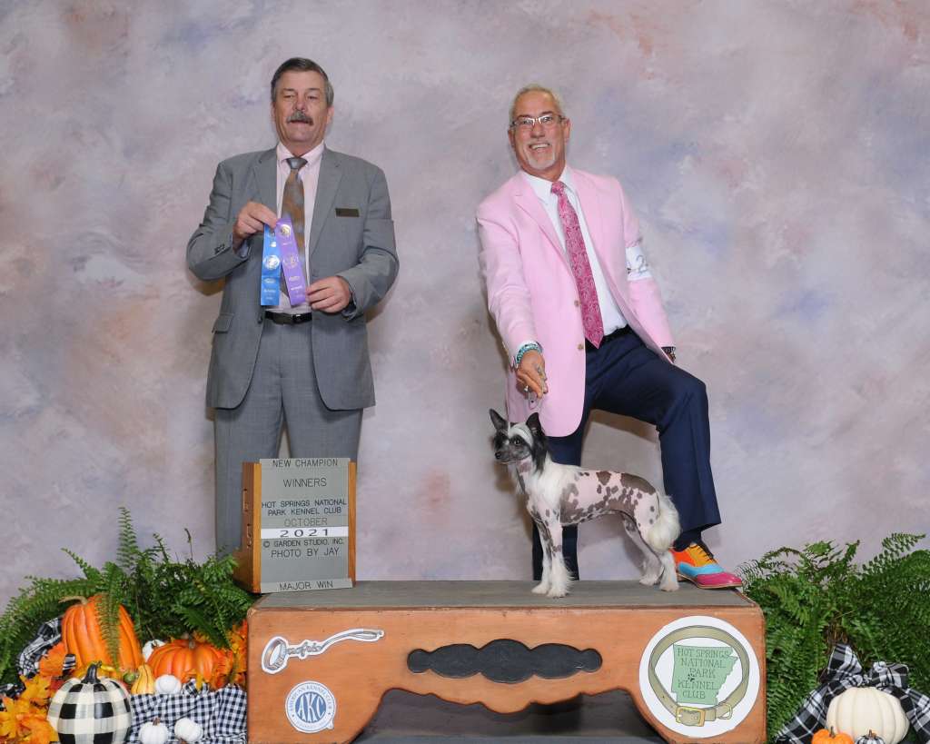 Lacshen People's Choice