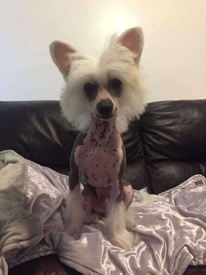 Rawspirit  Lets Rool