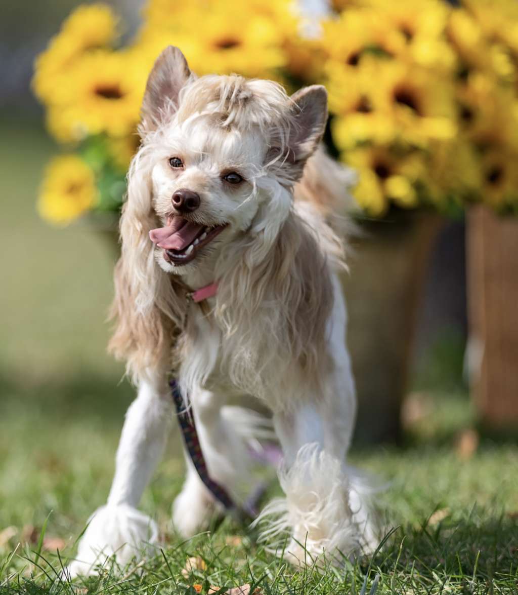 Batm Just A Good Ol Boy