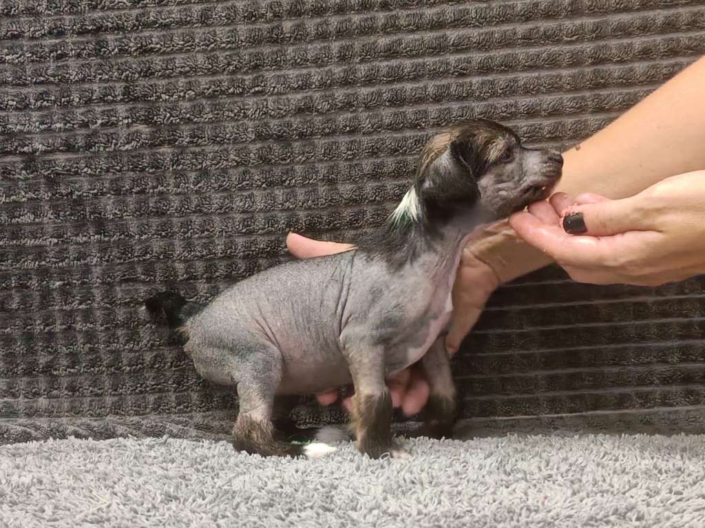 Naked Stars You Had Me At Yellow