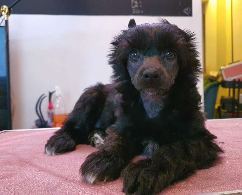 Viavrois Freaking Fab