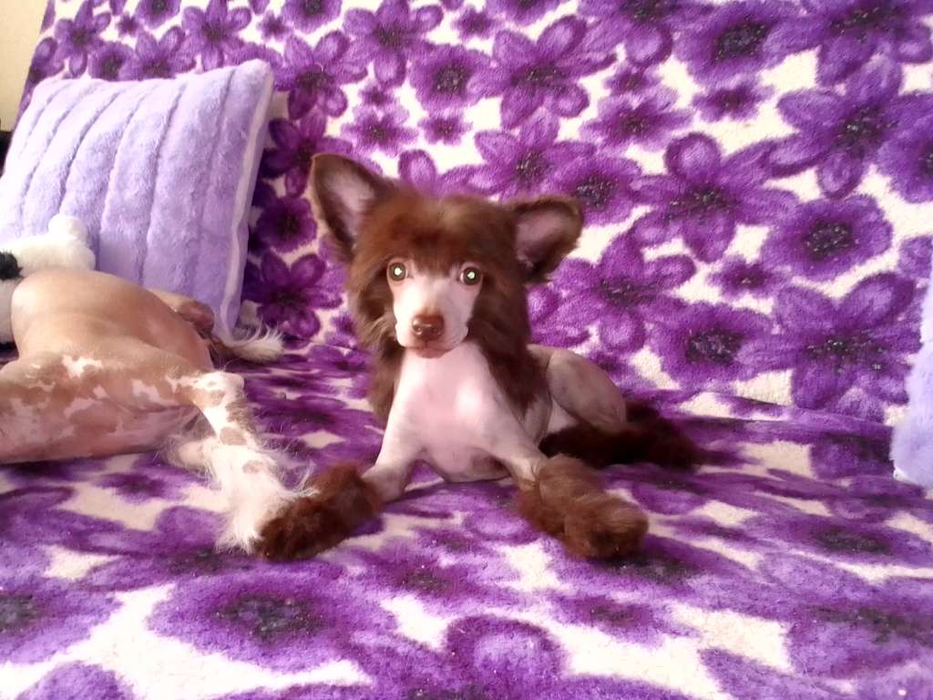 Centuria Gordost' Urala