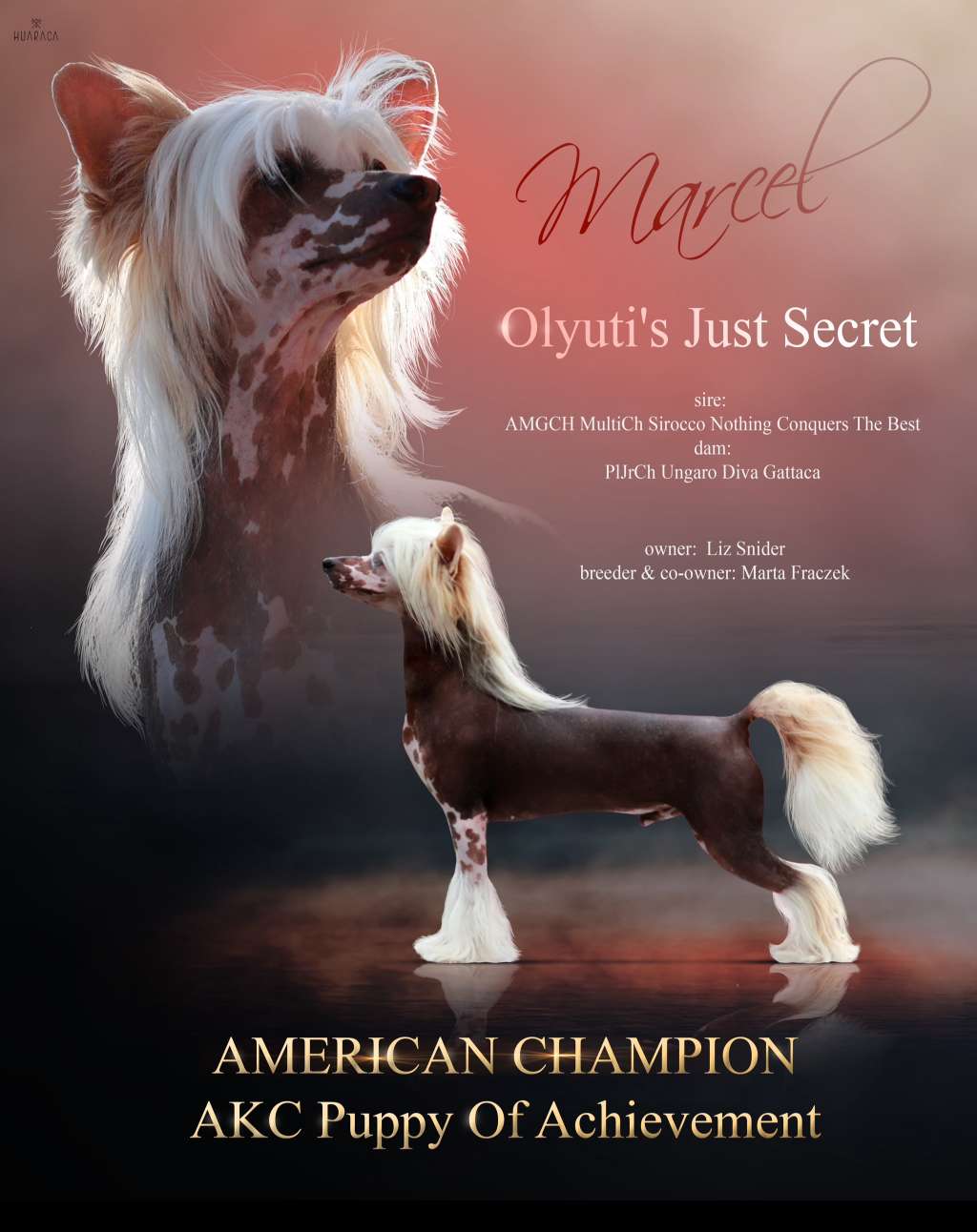 Olyuti's Just Secret