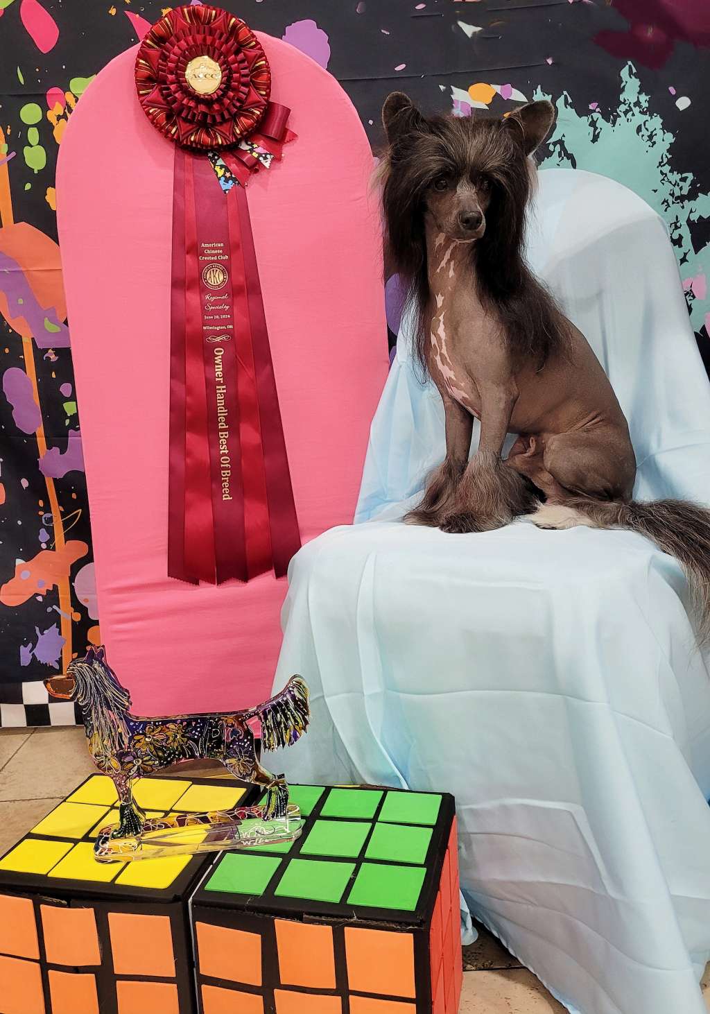 NV and Valour's Espresso-ly For You