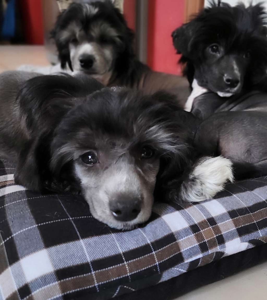 NV and Valour's Brew-tiful To Me