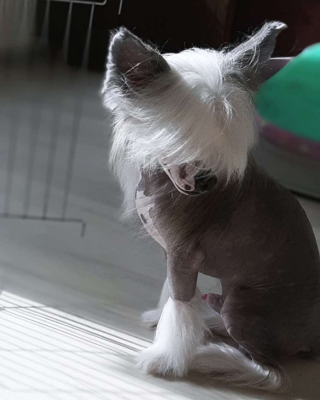 Art Rebellion Real Illusion