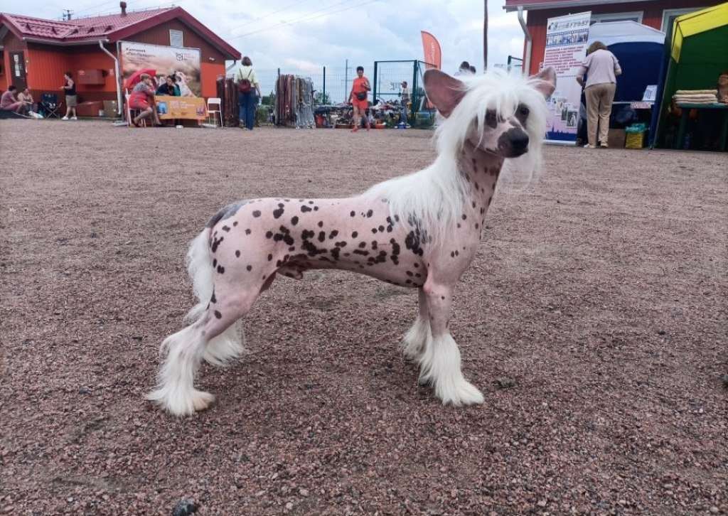 Ksolo Club Charuyushiy Soblazh