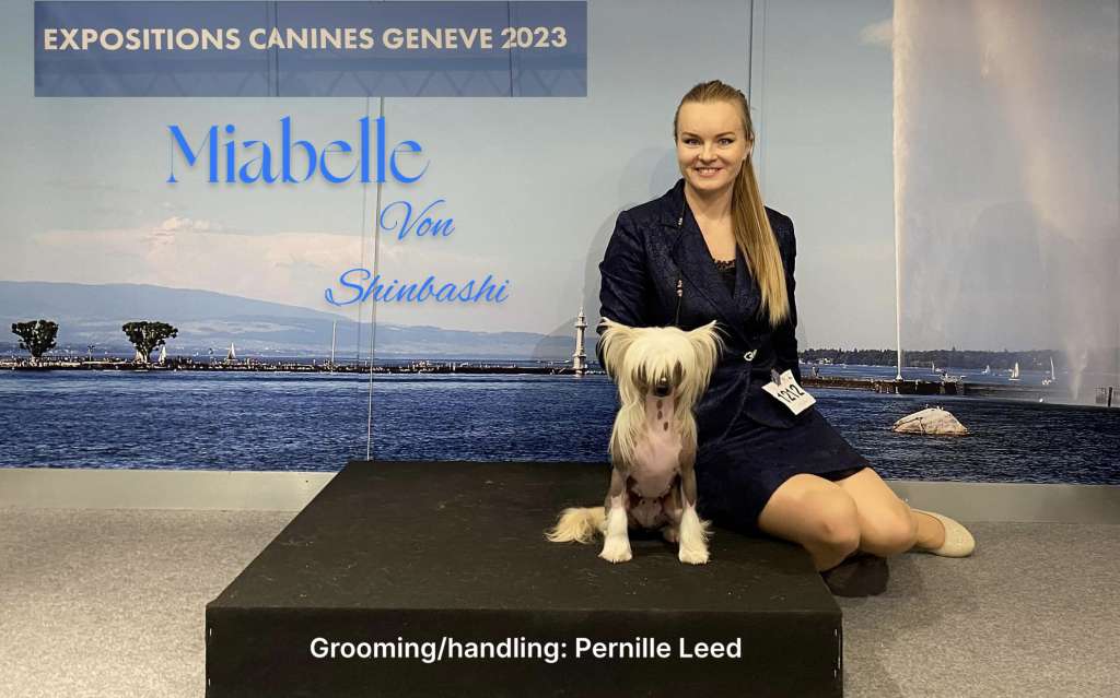 Miabelle von Shinbashi