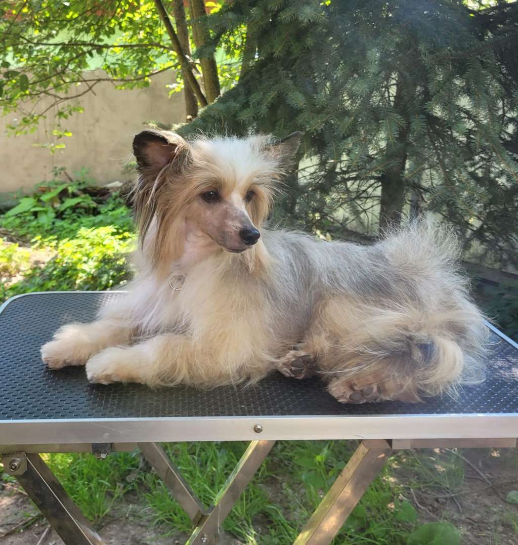 Absolut Harmony Val'mont