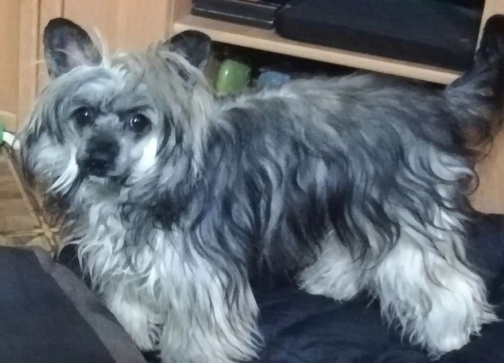 Endless Kiss Milagros